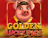 Golden Lucky Pigs